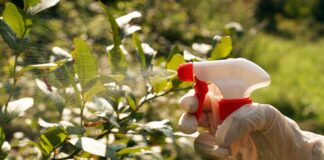 These are common household items you could use in the garden 00db8cf0 32b8 4207 8bf1 fb85ec134883