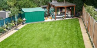 JJohnsons Lawn Seed’s easy guide to lawn germination and care this spring 0d135a5cd40046c9af648b13e1e0b181