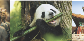 From Shanghai to Beijing: Explore the wonders of China by rail and river with brand new 2025 tours 9c013ab575c2c5afc5148f34bffbb5ccb8ae672c