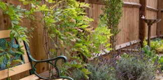 5 tips for making your garden as bee-friendly as possible Barratt Homes garden scaled