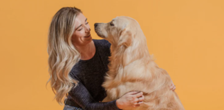 How to prepare your dog for back-to school time Screenshot 2024 05 21 at 14.33.27