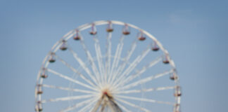 New survey reveals seagull attack hotspots of the UK – Aberystwyth and Tenby make the lis Seagull on the Promenade Blackpool geograph.org .uk 4441532