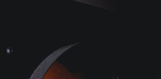 Pembrokeshire Street Food Festival is BACK Street Food Warehouse Ply 2023 74 scaled