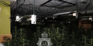 Tycroes, Tycroes watermarked 3