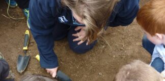 Digwyddiad darganfod hanes yn dychwelyd i Gastell Caeriw Unearthing History Image