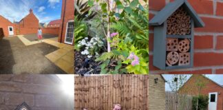 RSPCA recruits more than 1,000 Wildlife Friends – but more are needed! Wildlife Friends photomontage