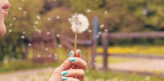 Pollen bomb: I’m a doctor and here’s how to allergy proof your skin during hay fever season! artem beliaikin yfXN1I5Ej1M unsplash 1 scaled