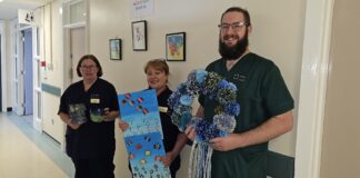 First in Wales Arts and Health Charter launched by Hywel Dda UHB b2f4d50b6a02ff02 org