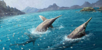 Origins of Welsh dragons finally exposed by experts image 12869e Ichthyotitan severnensis