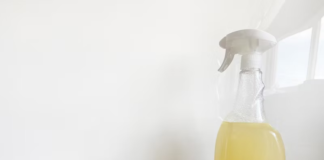Eco-friendly Cleaning: 5 Natural Cleaning Products You Can Make On Your Own pasted image 0 1 1