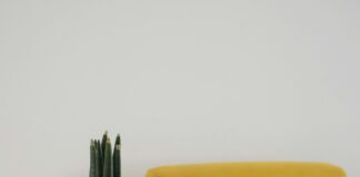 Get set for Summer: Interior Expert Shares Must-Have Home Decor Trends to Brighten Your Home pexels kseniachernaya 3965520 scaled