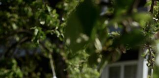 Summer germ alert: Dirtiest items in your home – and how to clean them pexels liana tril 86841229 17132068