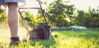 £5,000 Fines for Mowing the Lawn This Bank Holiday… pexels magic k 24827758 6728933