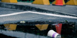 Roadside litter: drivers can play a vital part in the solution pexels urbanalistic 15427765 scaled