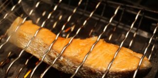 Nutritionist Reveals How To Make Weaning-Friendly BBQ Food This Summer salmon 1759530 1280
