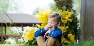 Sweep Away Pollen: Home Maintenance and Gardening Tips to Fight Allergies shutterstock 1392947537