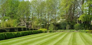 Expert reveals top tips to keep your lawn healthy during a heatwave! shutterstock 2277128495