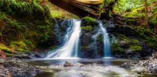 People find water sounds the most relaxing, psychologist reveals why waterfalls 1908788 1280 1