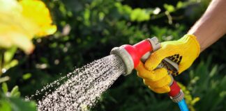 Summer garden hose maintenance hacks 00e42454 01f1 4cbf 8fe6 da87be5a42b0