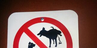 Keeping the UK Clean: Dog Poo Fines and New Laws in 2024 720px Dog Poop Signs 25090273921