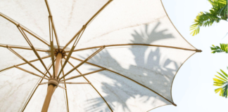 How to create shade in the garden 876d5cae a4ca 4c7e 97e5 2a2294dadd67