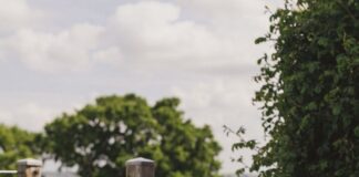 Global Wellness Day: Unwind in the UK’s most scenic outdoor bathrooms @elmleynature