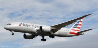 The world’s most pet-friendly airlines for 2024 revealed American Airlines N787 8 N810AN @ LHR Oct 2019