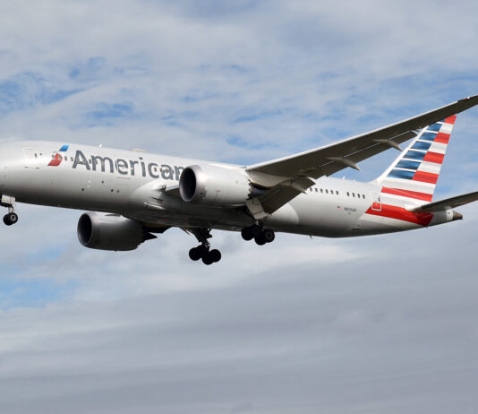 The world’s most pet-friendly airlines for 2024 revealed American Airlines N787 8 N810AN @ LHR Oct 2019