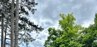 Purple patch for rock legend’s former holiday park following multi-milllion pound investment and redevelopment BenScholes2