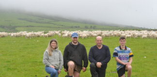 Welsh Sheep Genetics Programme hill flock finishing lambs two weeks earlier Elen Eifion Gwyn and Guto Parry Orsedd Fawr scaled