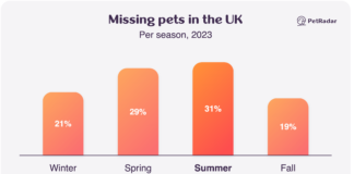 UK Missing Pets Spike by 47% in Summer Z5VzLtA