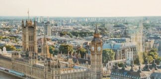 Letter to the Editor: Did Virginia Crosbie MP lie to Parliament? pexels dominikagregus 672532