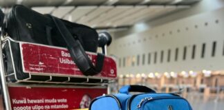 EXPERT COMMENT: AIRPORT HAND LUGGAGE SECURITY CHANGES pexels edgar okioga 221433 12391911
