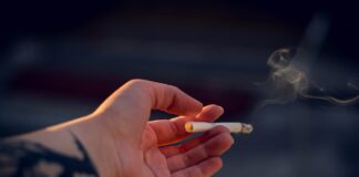 Brits, Beware: New Crackdown on Customs for Cigarettes and Alcohol pexels iriser 798124