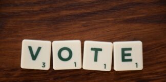 Surge in Scams Ahead of General Election, Cyber Expert Warns vote 3932253 1280