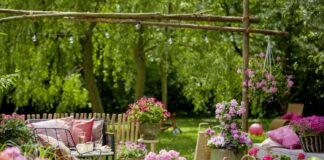 Tip Top Geranium Care: Guidelines from the experts at Pelargonium for Europe 2023 Geraniums 1000 Joyous Summer Moments 06