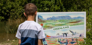 WWT Llanelli Wetland Centre Launches New Postcard Adventure Trail for the Summer Holidays 449142756 896208875884464 5985035394538969439 n
