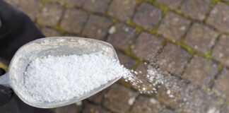 Salt is the secret ingredient to kill weeds 9f162d19 e0b8 4047 9385 cf20b921c9ac