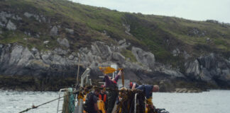 Câr-Y-Môr ocean farm purchases The Pembrokeshire Beach Food Company Car Y Mor credit Arthur Neumeier scaled