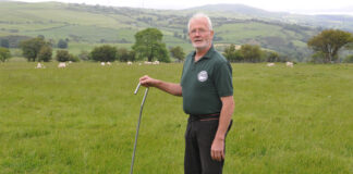 An upland farmer is growing his income from lamb sales by performance recording his closed flock of Welsh Mountain ewes. Elfyn Owen
