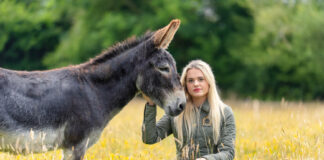 One in four people in Wales witnessing animal cruelty online Esme Higgs i credit This Esme Ltd 26