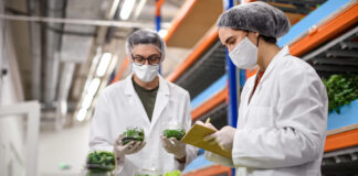 Revealed: The best and worst places in Wales for food hygiene ratings as country places 8th in the UK regional rankings HST Food Hygiene 1 cropped scaled