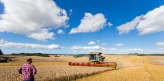 Welsh farmers urged to check insurance for temporary workers Harvesting image scaled