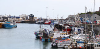 Delivering against seven priorities to support a thriving UK seafood industr IMG 0004 scaled