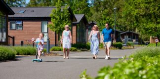 Luxury lodge retreat unveils ancient woodland attraction following significant investment and development on east coast NorfolkWoods1