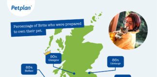 Petplan survey shows UK pet owners are ready for the responsibilities of pet parenthood Petplan UK map Furry Firsts asset