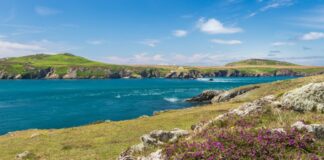 National Park survey highlights importance of Pembrokeshire Coast for mental and physical wellbeing SMALLTreginnis area to Ramsey 04