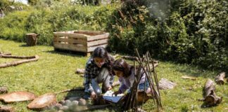 Get the most from the Pembrokeshire Coast National Park this summer SmallOrielYParc 290