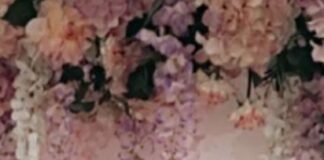 Llanelli murder investigation: Tribute to Sophie Evans Sophie Evans