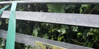 Memorial bench unveiling for Llanafan Women’s Institute President UPe2sTkO